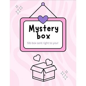 Womens Medium Mystery box! Bundle lot